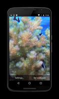 Coral Reef Fish Video LWP Affiche