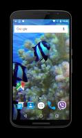 Coral Reef Fish Video LWP screenshot 2