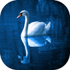 Reflexiones para la vida APK