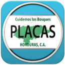 Registro Vehicular HN APK