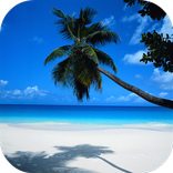 Relax Music: sleep & yoga