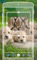 Animal Widget Clock capture d'écran 2