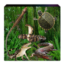 Reptil Animals APK