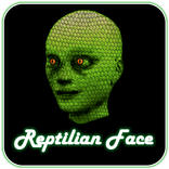 Reptilian Face