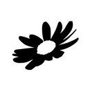 Pet Memorial Hall APK