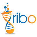 Ribo APK