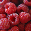 Raspberries Wallpapers