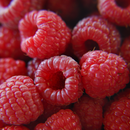 Raspberries Wallpapers aplikacja
