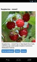 Raspberries Wallpapers 스크린샷 1