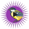 Bird Calls, Sounds & Ringtones APK