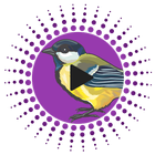 Bird Calls, Sounds & Ringtones icon