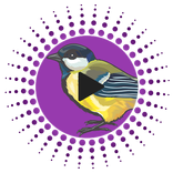 Птица Звуки и мелодии