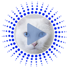 Katze Geräusche Klingeltöne Zeichen