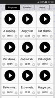 Katze Geräusche Klingeltöne Plakat