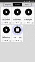 Katze Geräusche Klingeltöne Screenshot 1