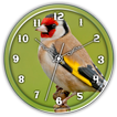 American Gold Finch Clock LWP