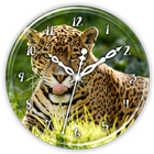 Jaguar Clock Live Wallpaper ícone