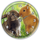 Clock Live Wallpaper : Rabbit APK