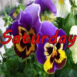 Saturday