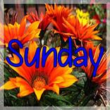 Sunday