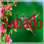 Sábado