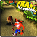 Cheat Crash Bandicoot APK