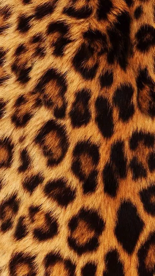 Animal Print HD Wallpaper APK للاندرويد تنزيل Animal Print HD Wallpaper APK للاندرويد تنزيل