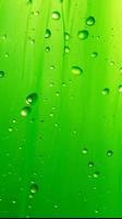 پوستر Green Wallpapers HD