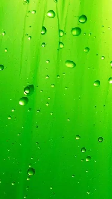 Green Wallpapers HD APK for Android Download