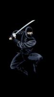 Ninja HD Wallpaper imagem de tela 2