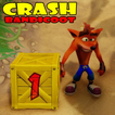Hint Crash Bandicoot