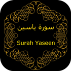 Surah Yaseen Audio Recitation icon