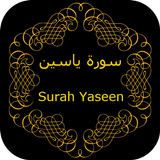 Surah Yaseen ícone