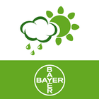 Bayer Agro Prognoza 圖標