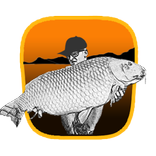 Carp Fishing Monitor