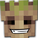 Peaux Film pour Minecraft