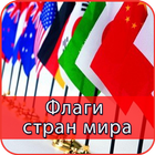 Флаги стран мира icono
