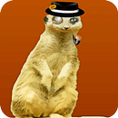 Юмор короткие рассказы APK