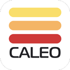 Центр обучения CALEO icône