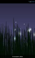 Fireflies Affiche