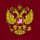 Checking russian passport icône