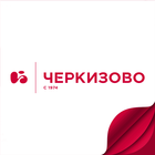 Библиотека "Черкизово" icono