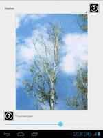 TreeGrade Affiche