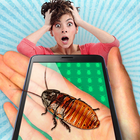 Cockroach on hand simulator icône