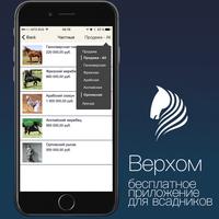 Верхом (beta) capture d'écran 1