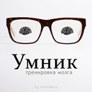 Умник - загадки и головоломки APK