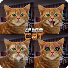 4Face Cat آئیکن