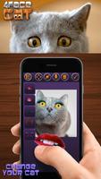 4Face Cat پوسٹر