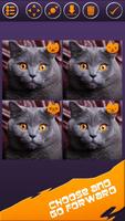 4Face Cat اسکرین شاٹ 1