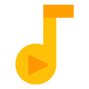 Foldy Player Pro APK